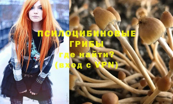 мяу мяу мука Алзамай