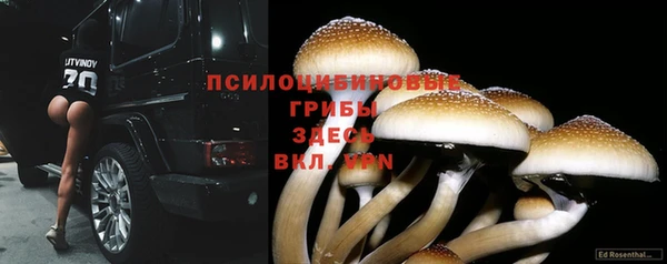 ешки Алексеевка
