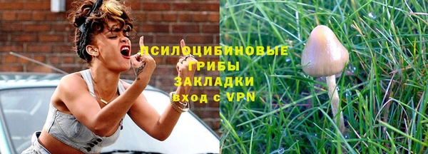 спиды Алексин