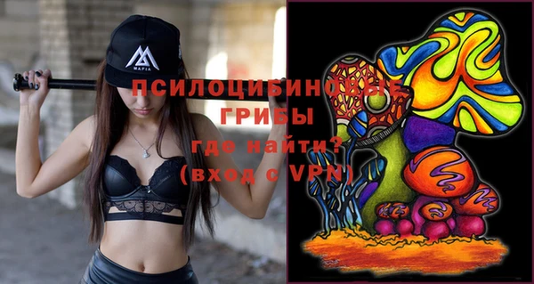 ешки Алексеевка