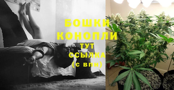 спиды Алексин